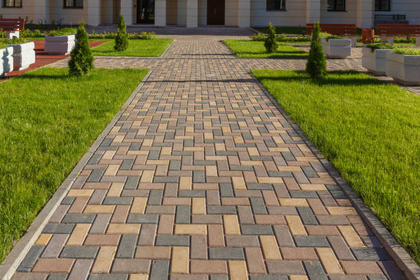 Best Driveway Paving Contractor  in Greybull, WY